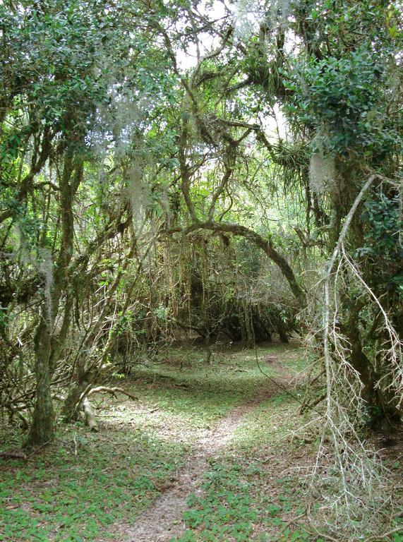 Aldeia Santuario Das Aves Tavares Zewnętrze zdjęcie