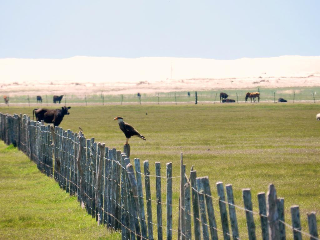 Aldeia Santuario Das Aves Tavares Zewnętrze zdjęcie